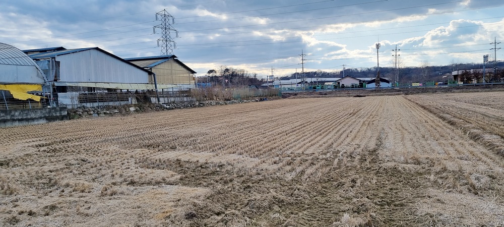 세종 스마트 국가산업단지가 들어설 예정인 연서면 와촌리 일대. 축사(왼쪽 건물)와 마을이 보인다.